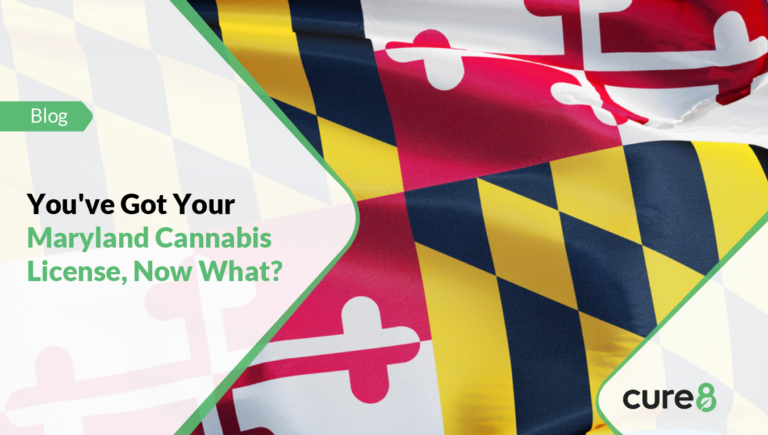 You Ve Got Your Maryland Cannabis License Now What Cure