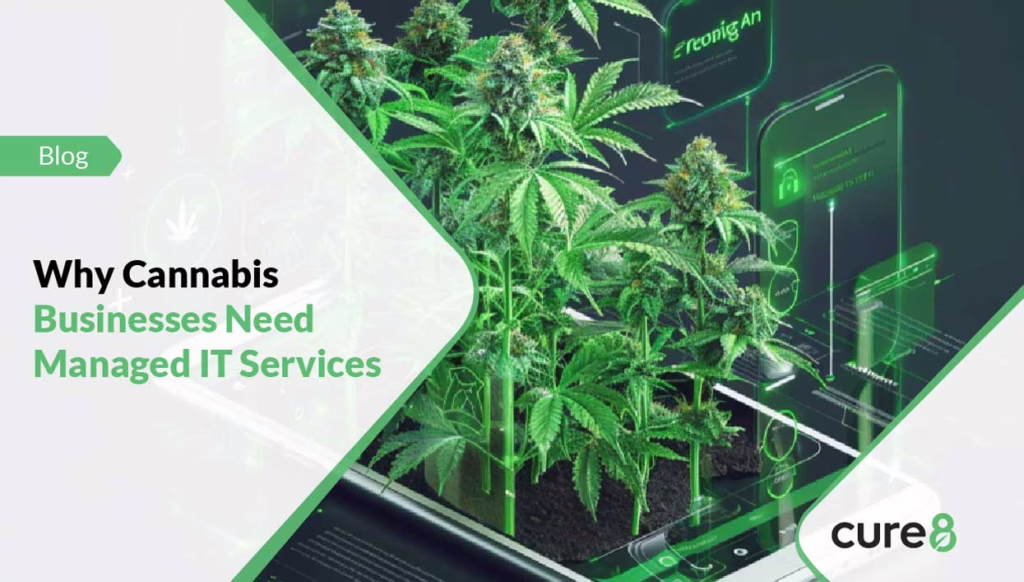 Why-Cannabis-Businesses-Need-Managed-IT-Services-01