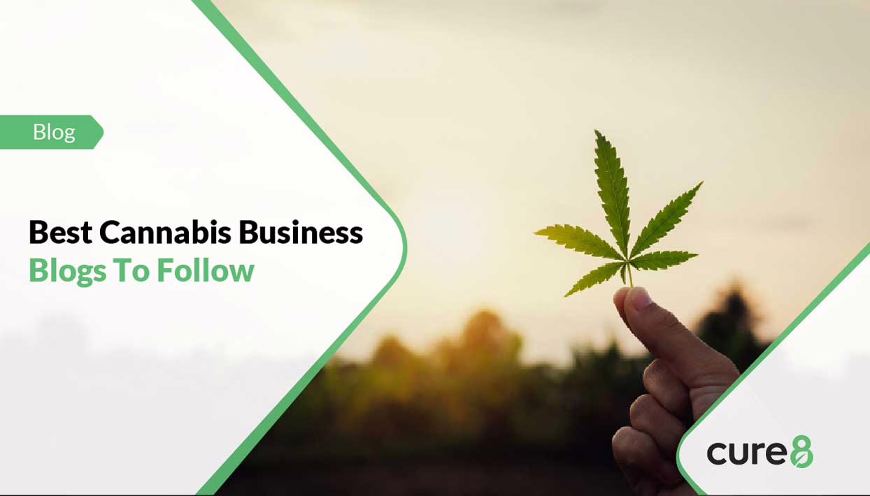 Best-Cannabis-Business-Blogs-To-Follow