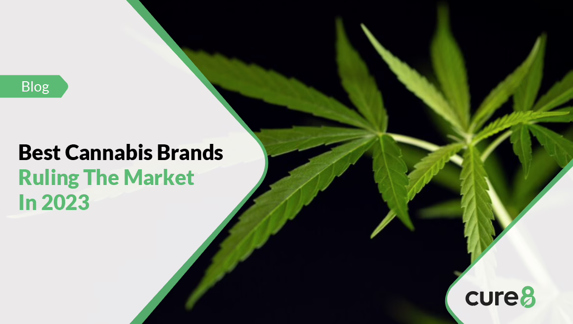 Best Cannabis Brands Ruling The Market In 2023