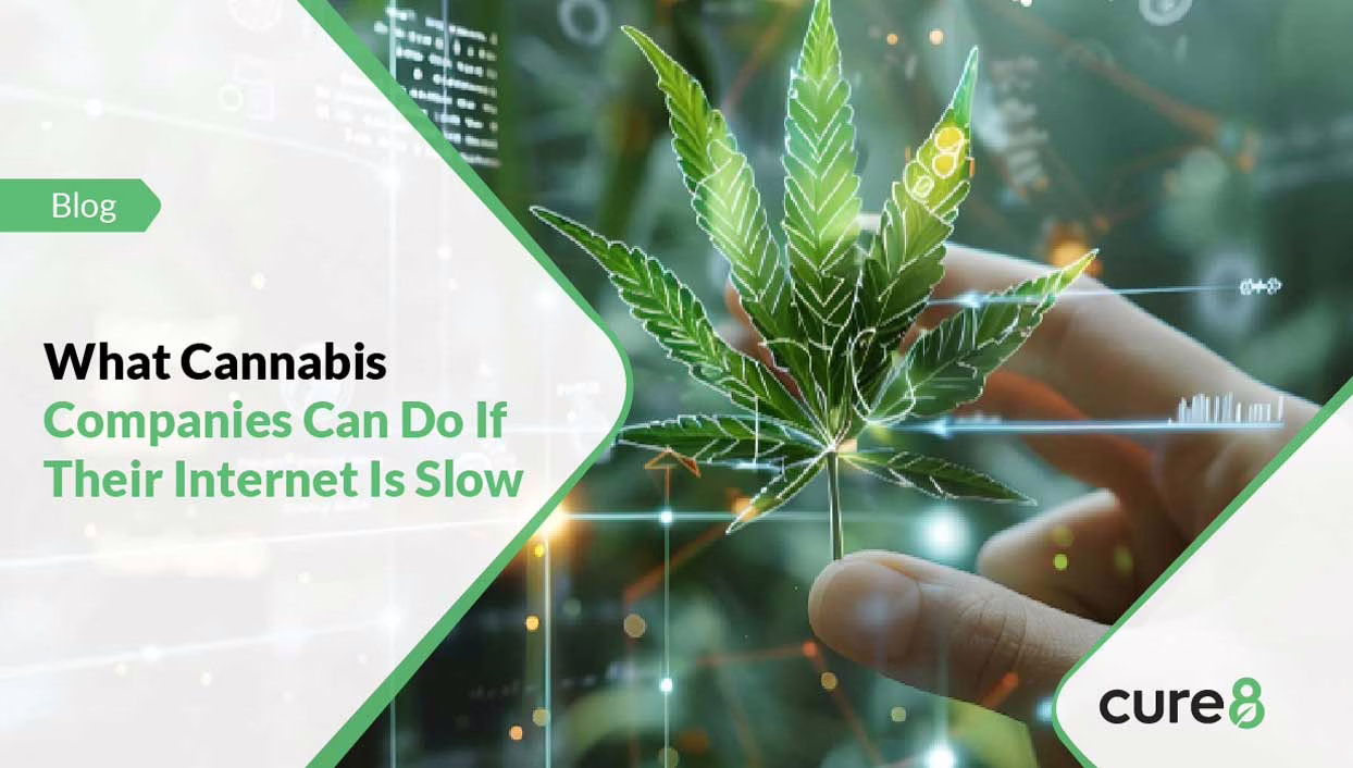 What-Cannabis-Companies-Can-Do-If-Their-Internet-Is-Slow