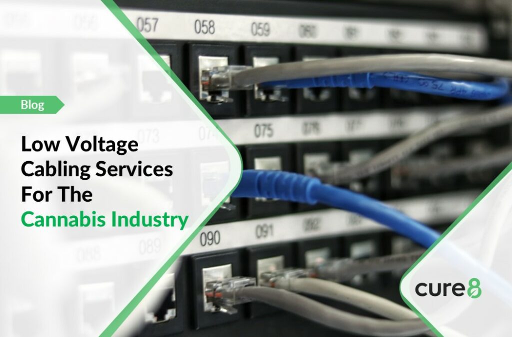 Low voltage cabling services