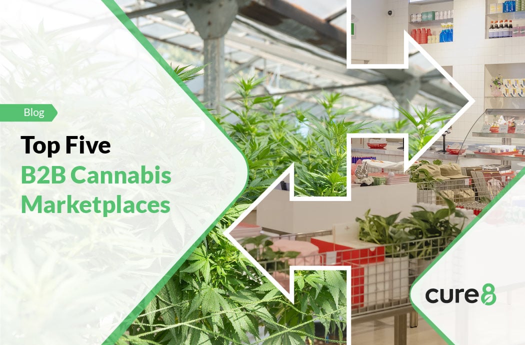 Top 5 Cannabis B2B Marketplaces In 2024 - Cure8