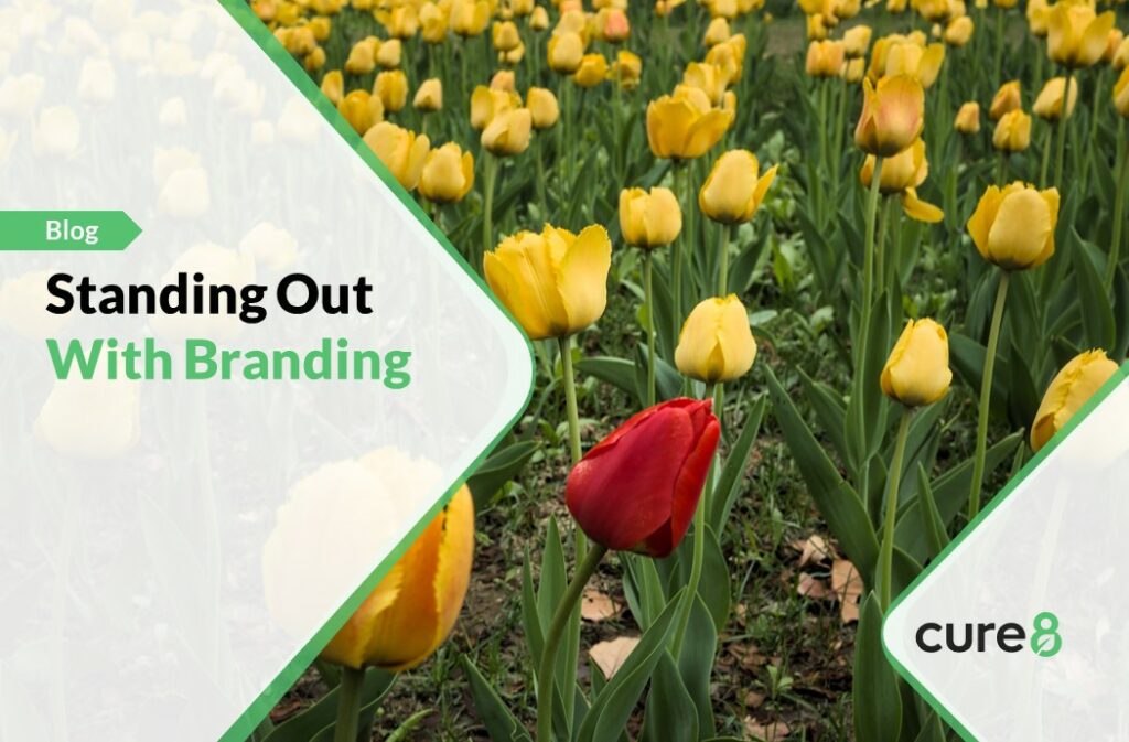 Cannabis Branding