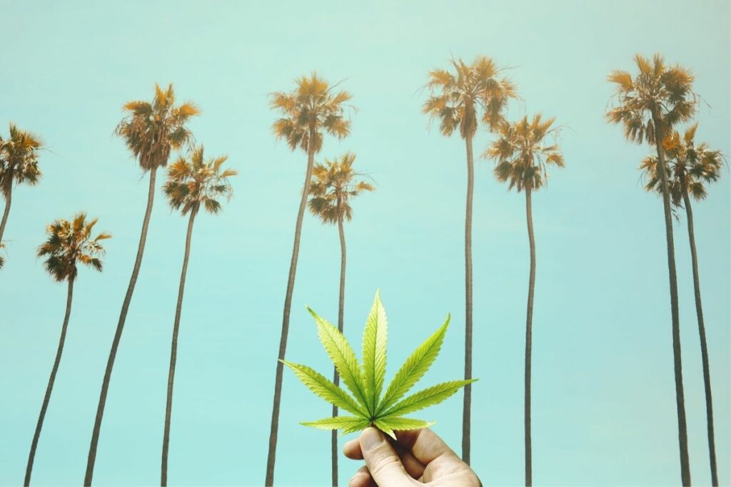 California Cannabis Dispensary 1024x683 
