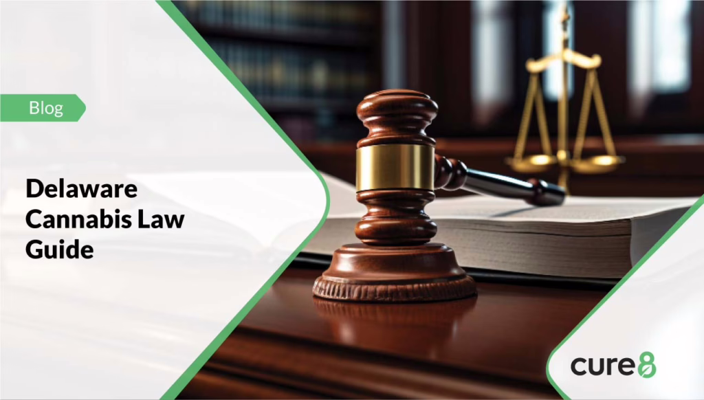 Delaware-Cannabis-Law-Guide-595xh