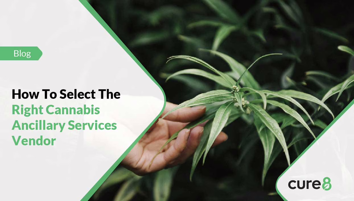 How-To-Select-The-Right-Cannabis-Ancillary-Services-Provider