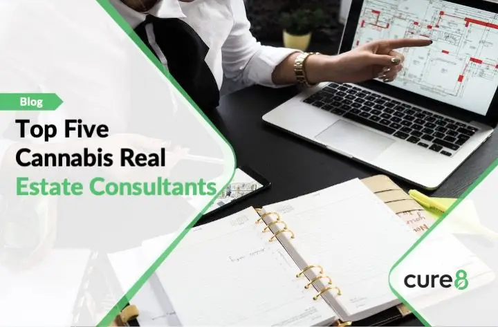 Cannabis Real Estate Consultants