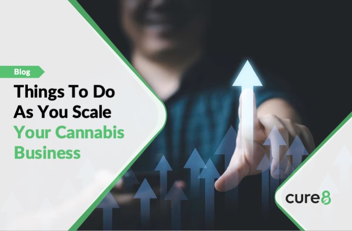 Cannabis Business Scale