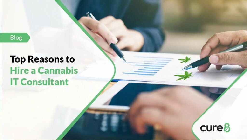 Cannabis IT Consultant