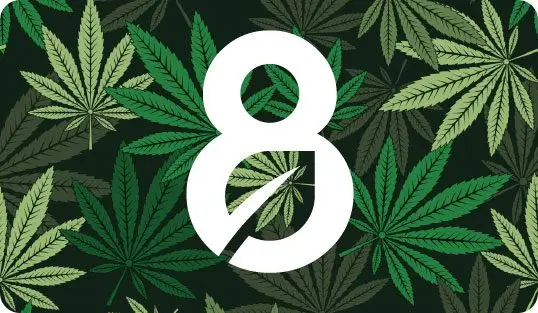 white 8 on a background of cannabis leaves