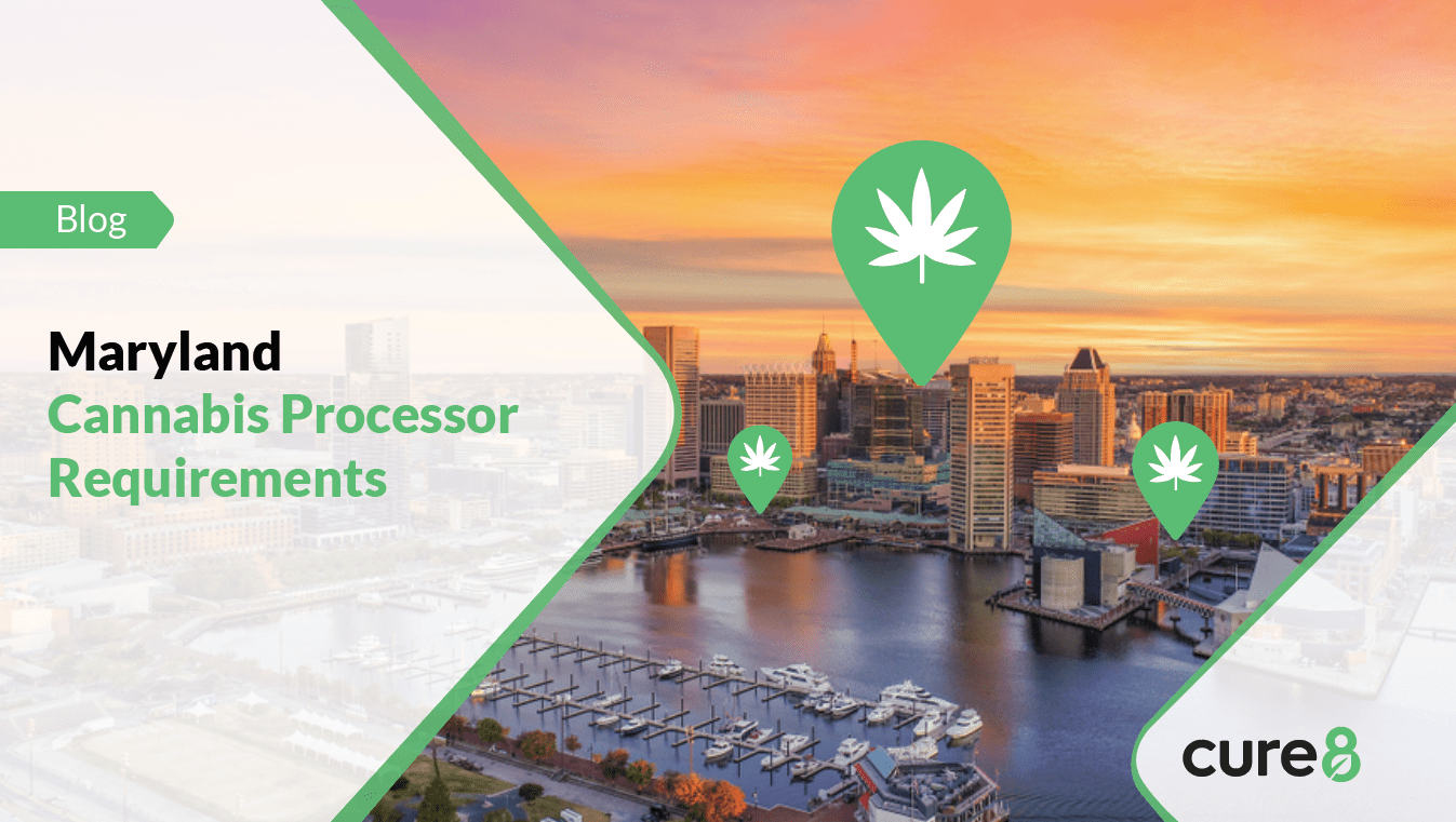 How to Open a Dispensary In New Mexico 2023 Cure8