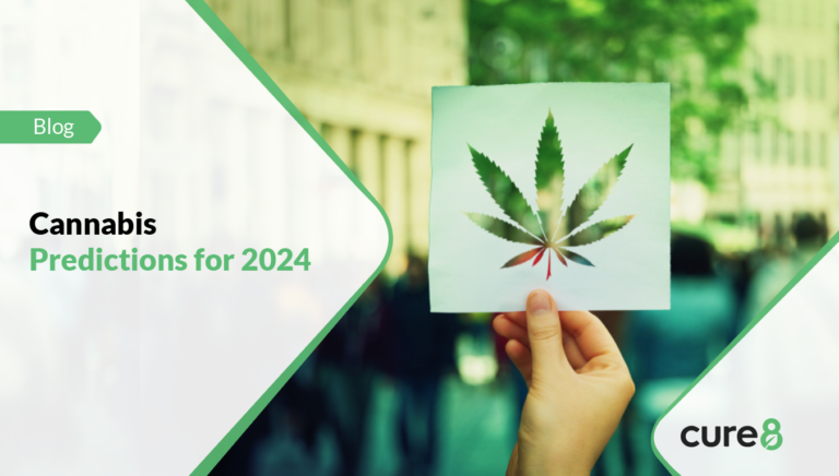 Cannabis Predictions For 2024 Cure8 Cannabis IT Services   2024 Cannabis Predictions 768x436 