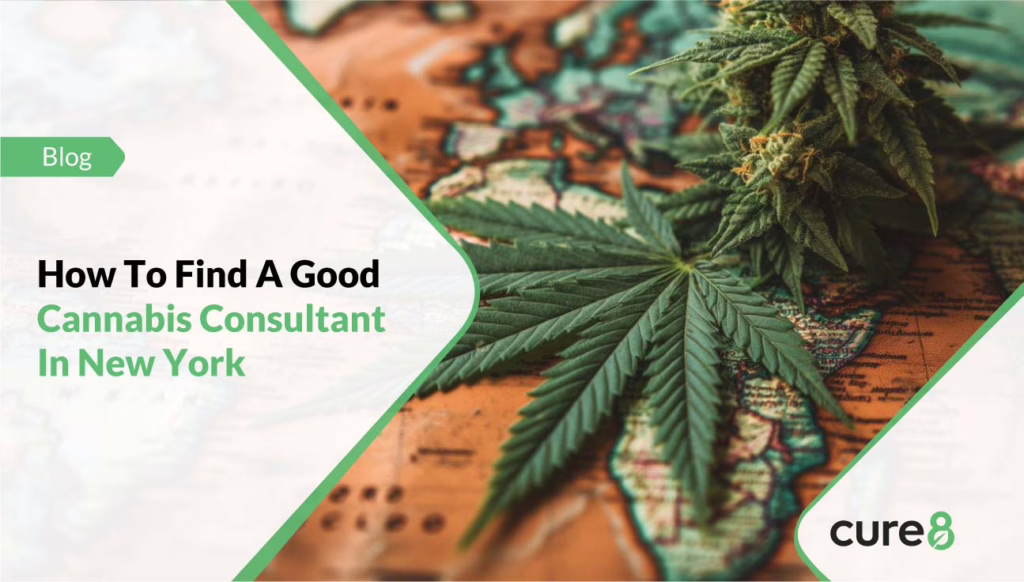 How To Find A Good Cannabis Consultant In New York