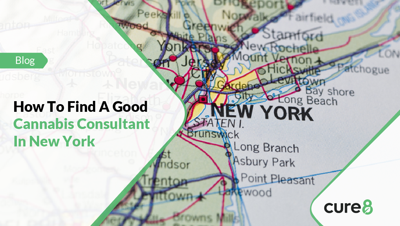 Cannabis Consultant In New York