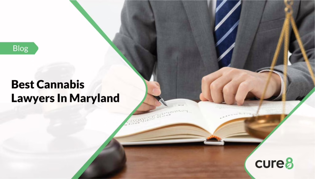 Best Cannabis Lawyers In Maryland