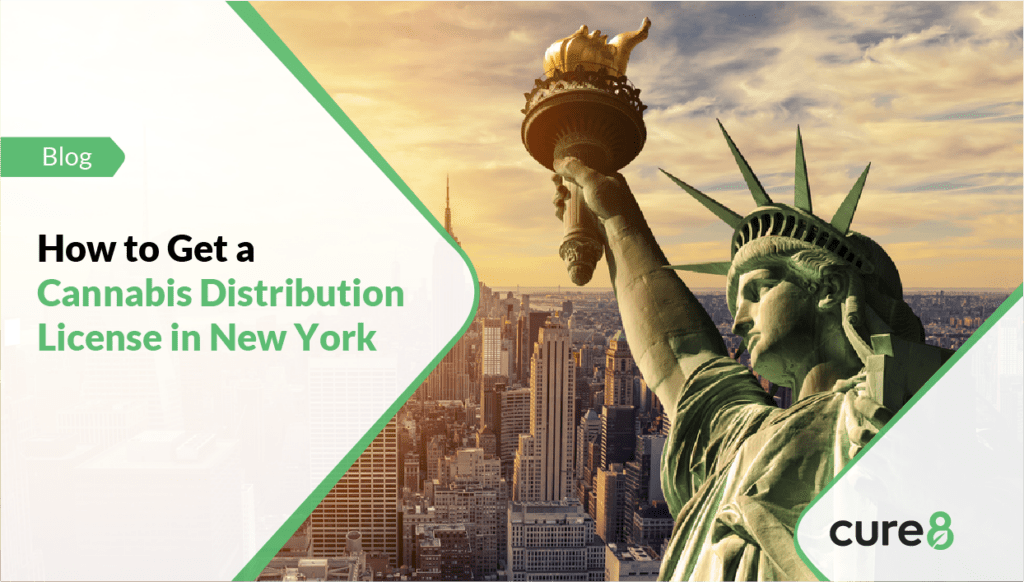 cannabis distribution license in new york