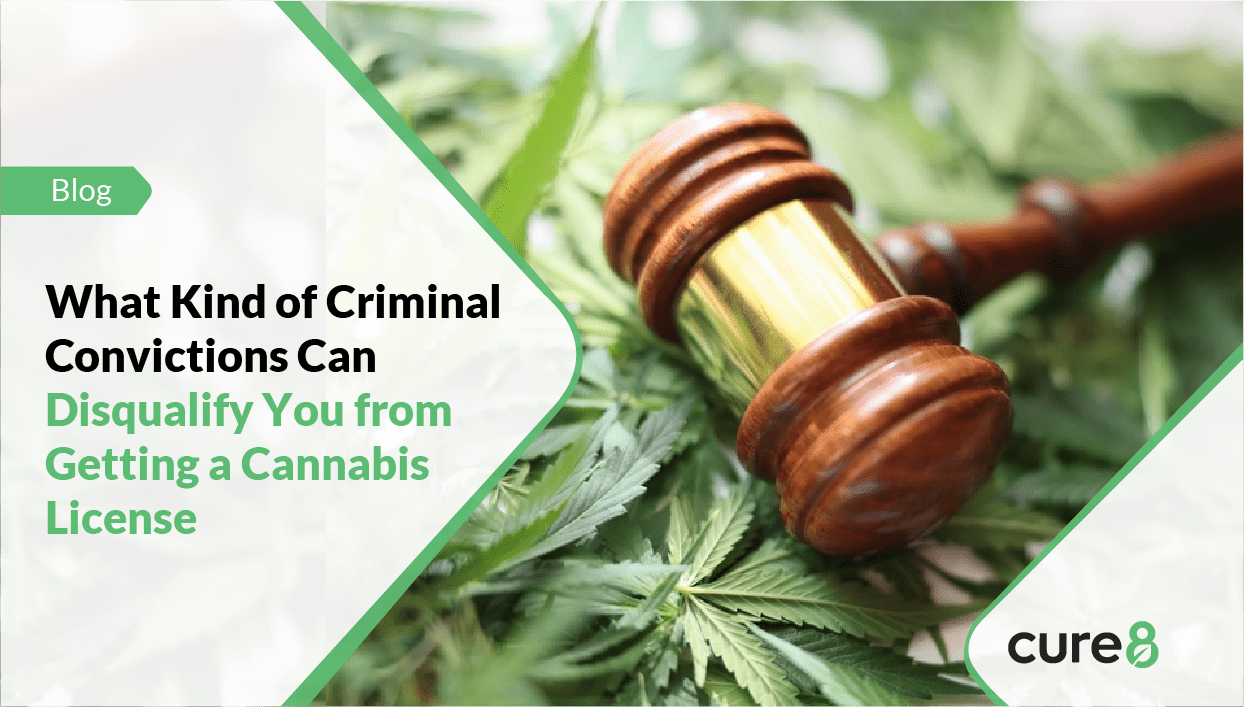 Criminal Convictions from Getting a Cannabis License