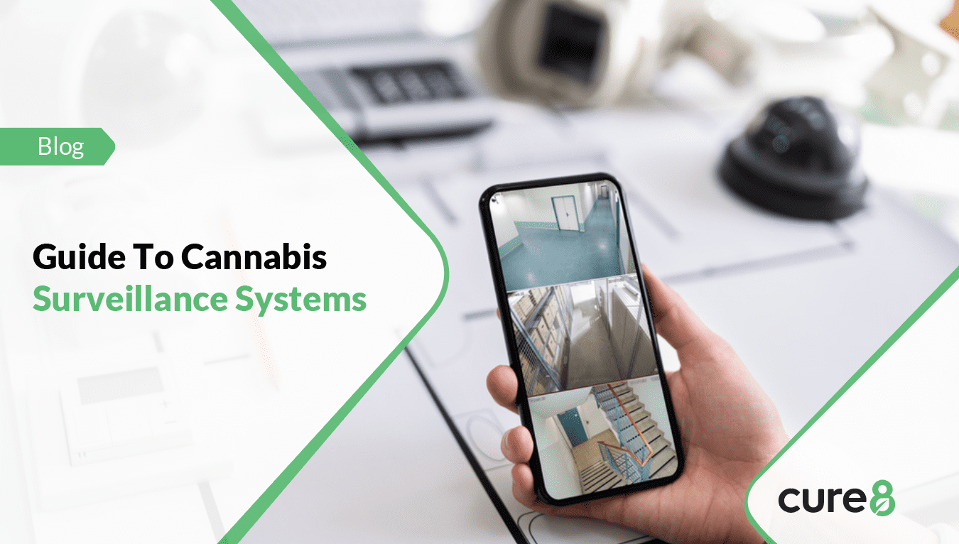 Cannabis Surveillance Systems