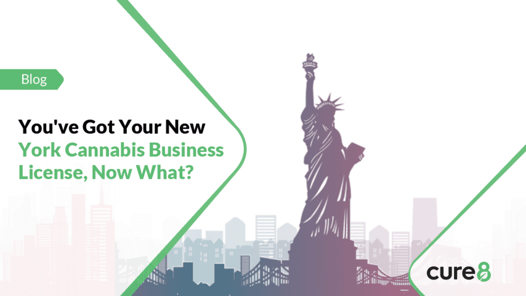 New York Cannabis Business License