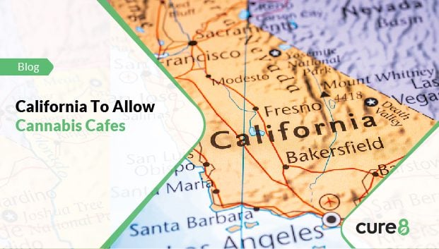 cannabis cafe california