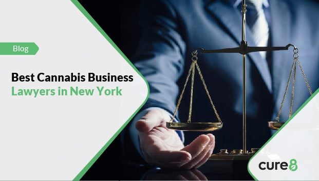 cannabis lawyers in new york