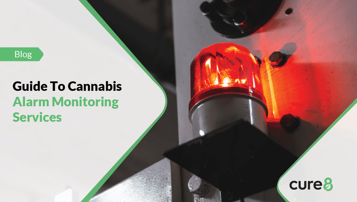 Cannabis Alarm Monitoring Services