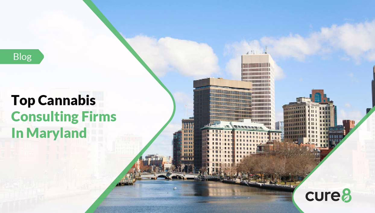 Top Cannabis Consulting Firms In Maryland