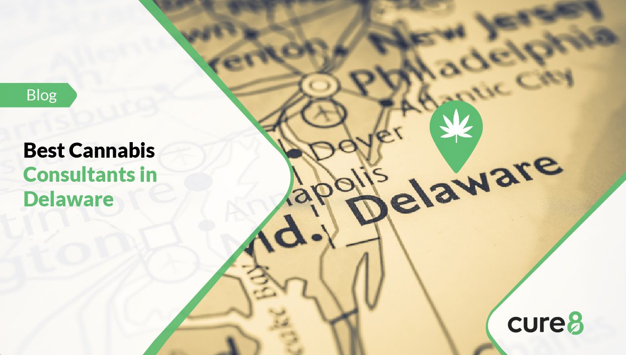 Cannabis Consultants in Delaware