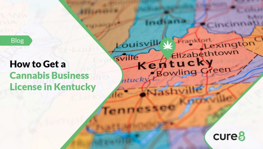 cannabis business license in kentucky
