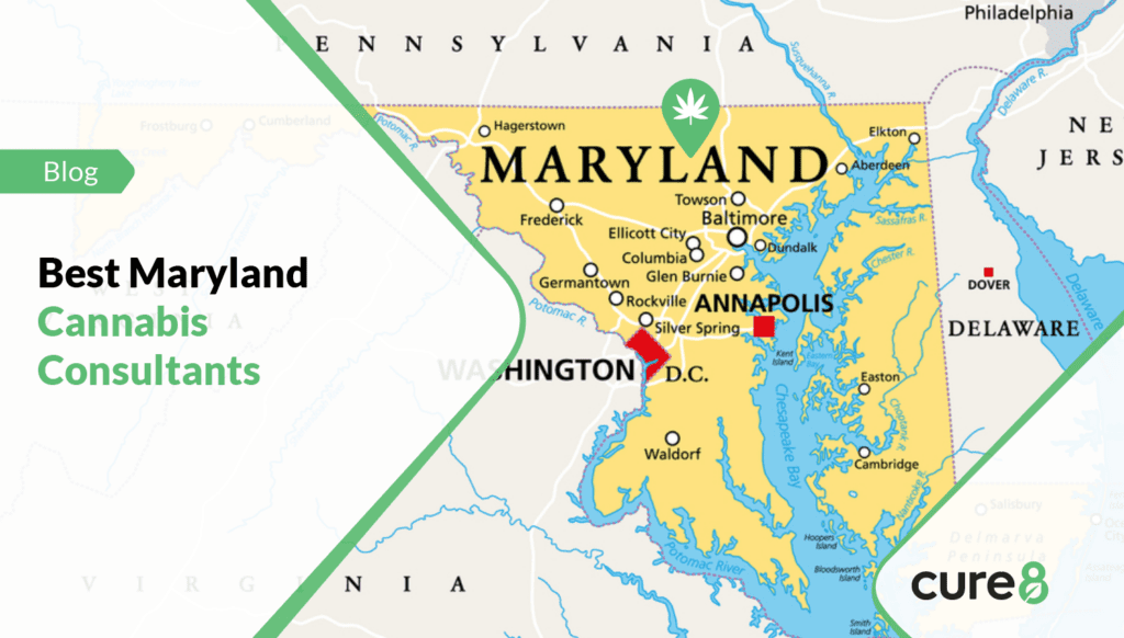 Maryland Cannabis Consultants