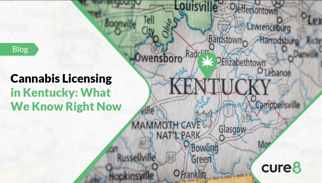 kentucky cannabis license