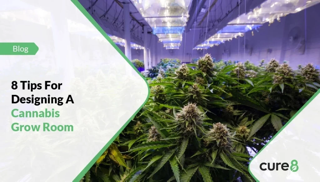 8 Tips For Designing A Cannabis Grow Room