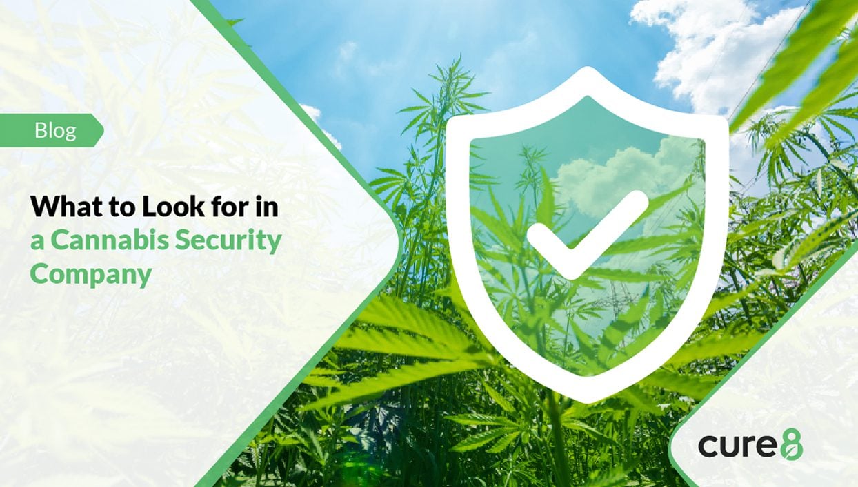Cannabis Security
