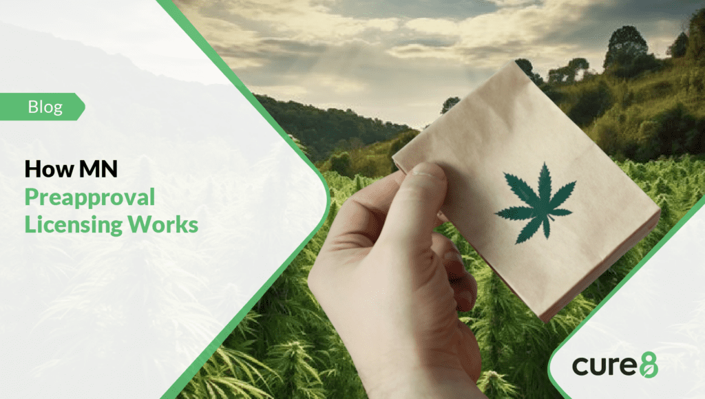 minnesota cannabis license