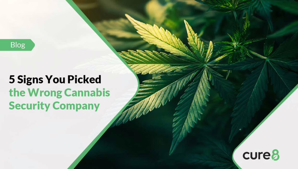 5 Signs You Picked the Wrong Cannabis Security Company