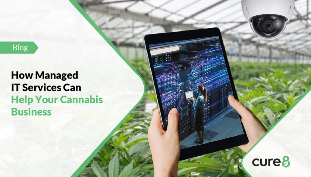 How Managed IT Services help your Cannabis Businesses