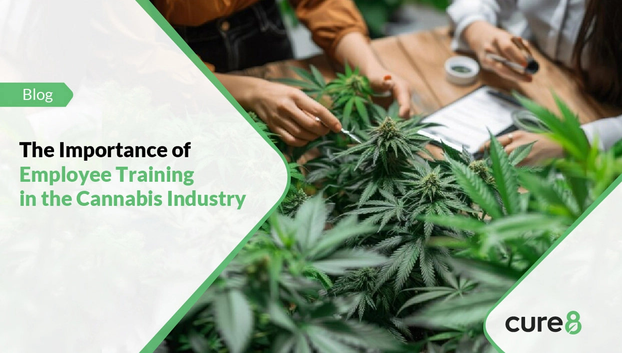 The Importance of Employee Training in the Cannabis Industry