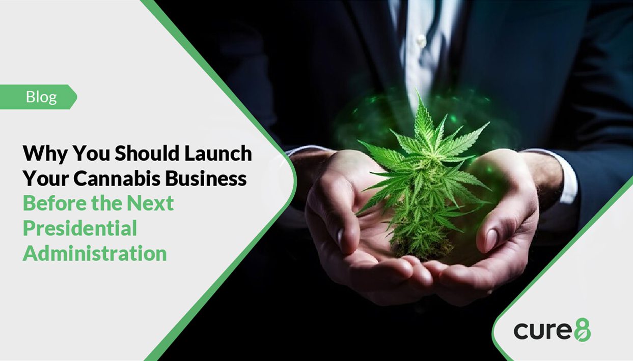 Businessperson holding a vibrant cannabis plant with green glowing highlights, emphasizing the importance of launching a cannabis business before the next presidential administration. Cure8 logo in the corner