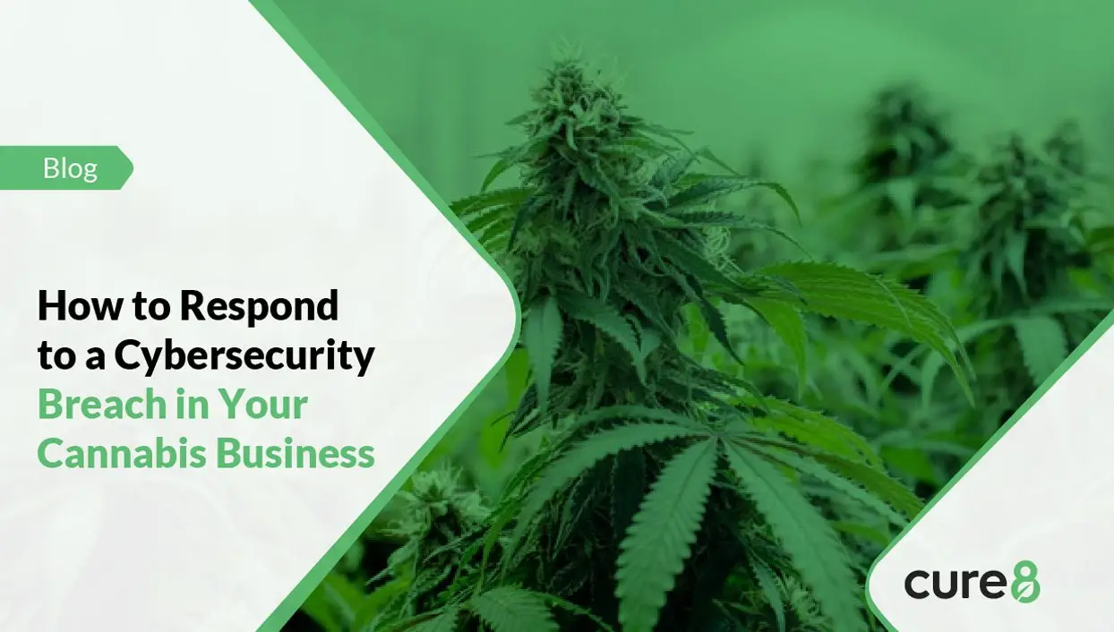 How to Respond to a Cybersecurity Breach in Your Cannabis Business