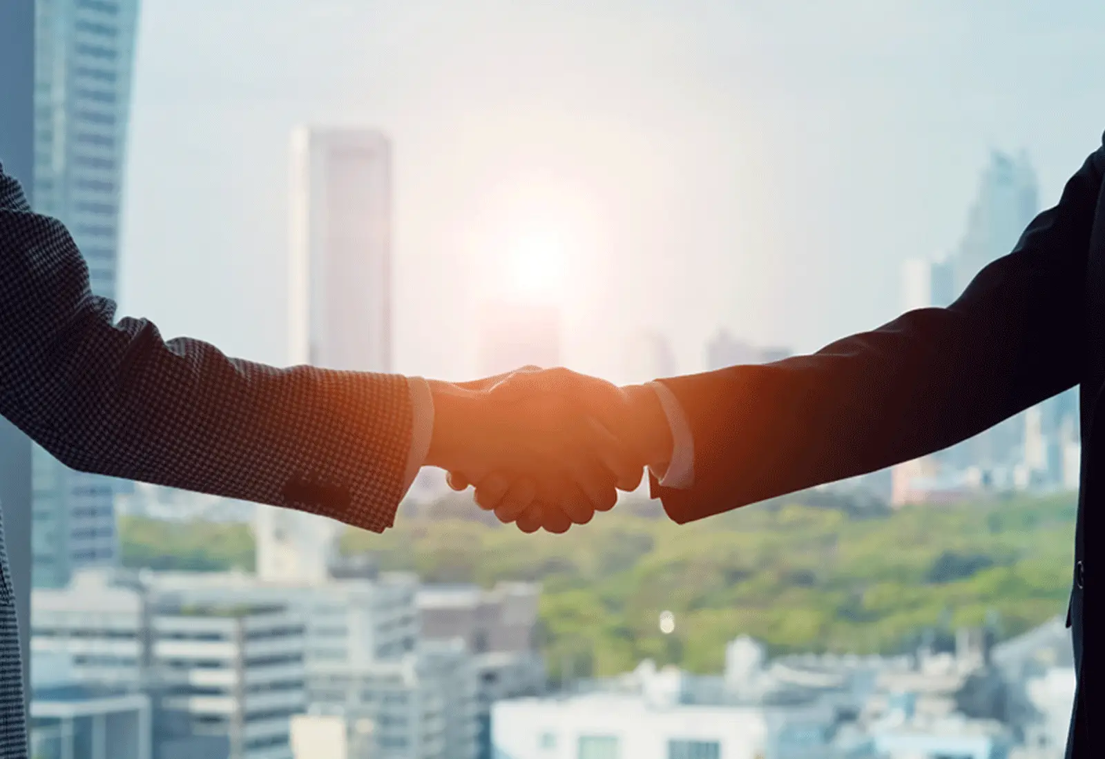Partner With Us