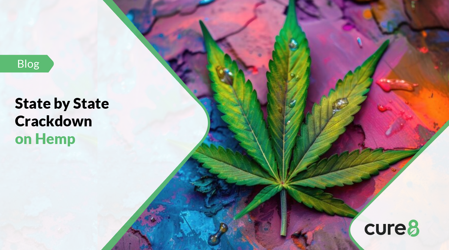 State by State Crackdown on Hemp