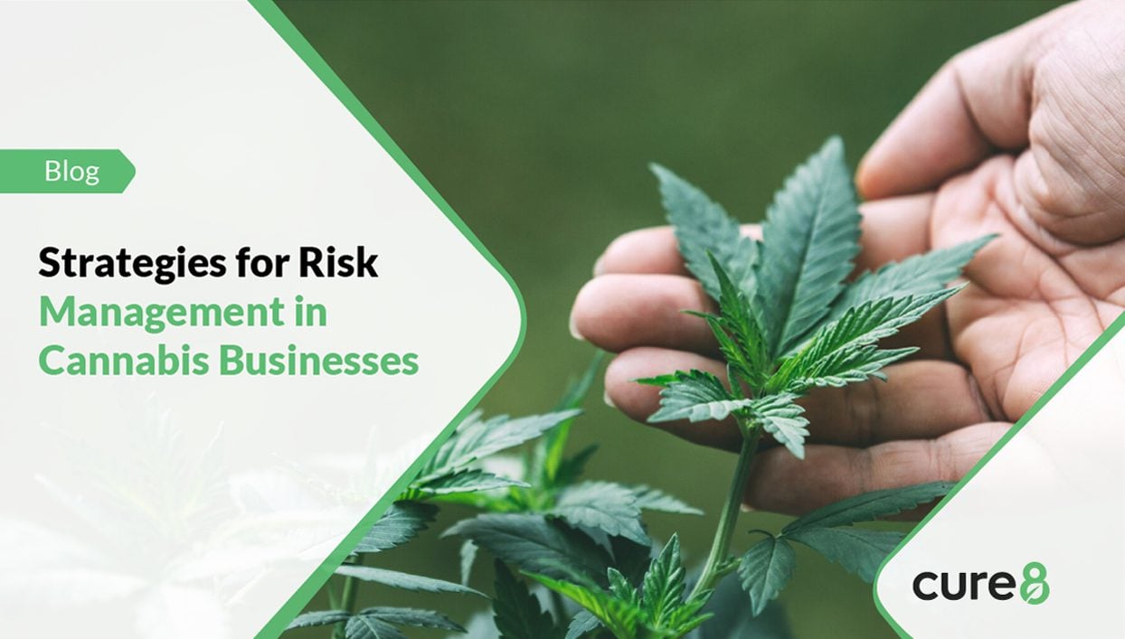 Strategies for Risk Management in Cannabis Businesses