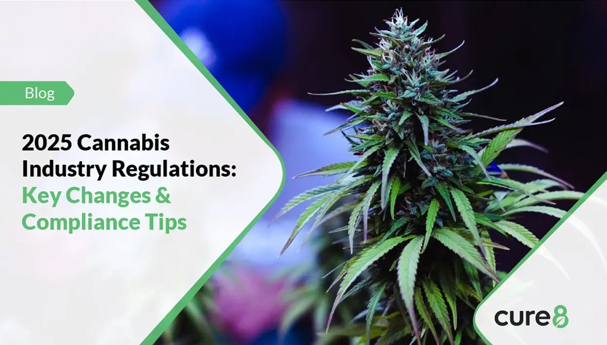 2025 Cannabis Industry Regulations: Key Changes & Compliance Tips