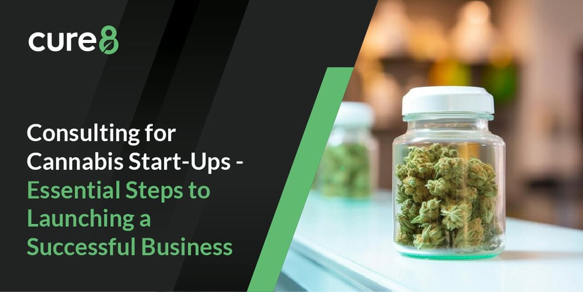 Consulting for Cannabis Start-Ups - Essential Steps to Launching a Successful Business 