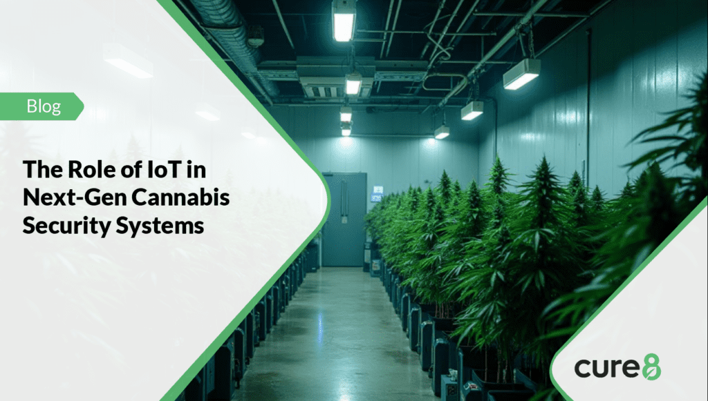The Role of IoT in Next-Generation Cannabis Security Systems 