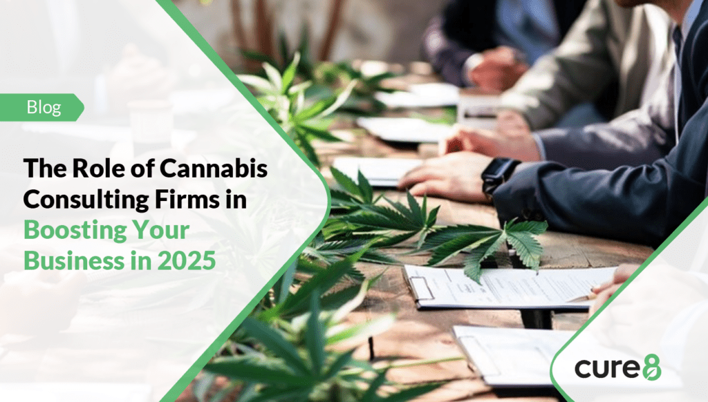 The Role of Cannabis Consulting Firms in Boosting Your Business in 2025 
