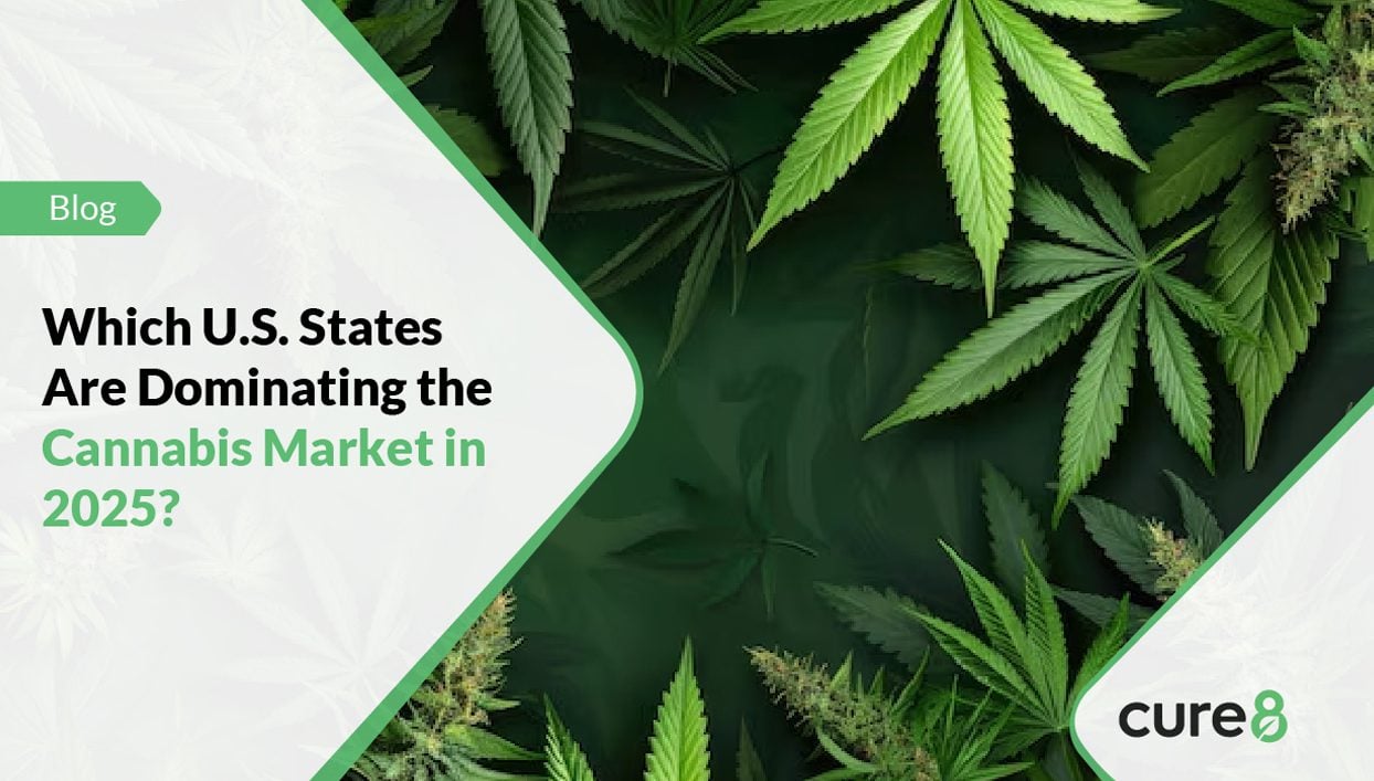 Which U.S. States Are Dominating the Cannabis Market in 2025 