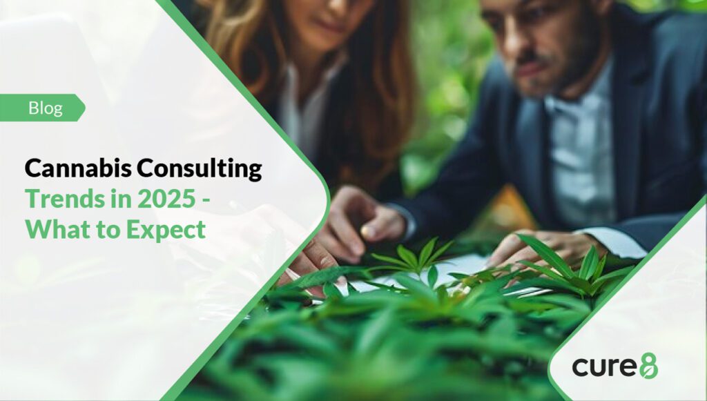 Cannabis Consulting Trends in 2025 - What to Expect