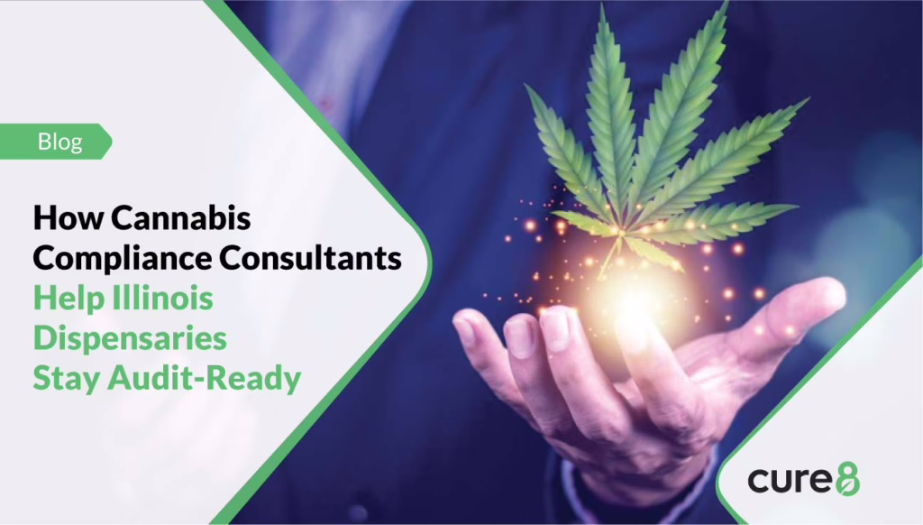 Choosing the Right Cannabis Consulting Firm in Nebraska: Key Factors to Consider 